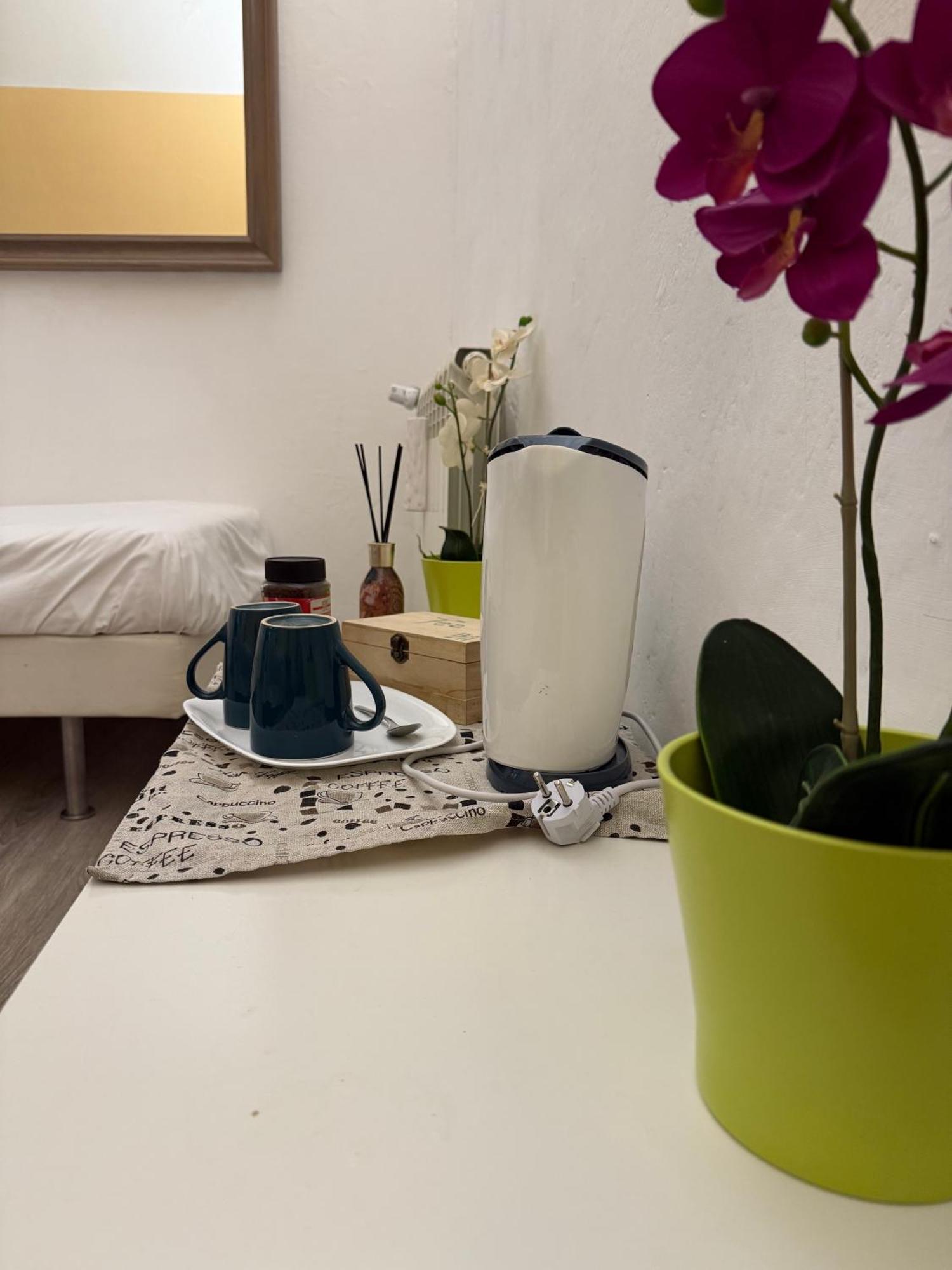 Bronze Horse Hotell Firenze Eksteriør bilde